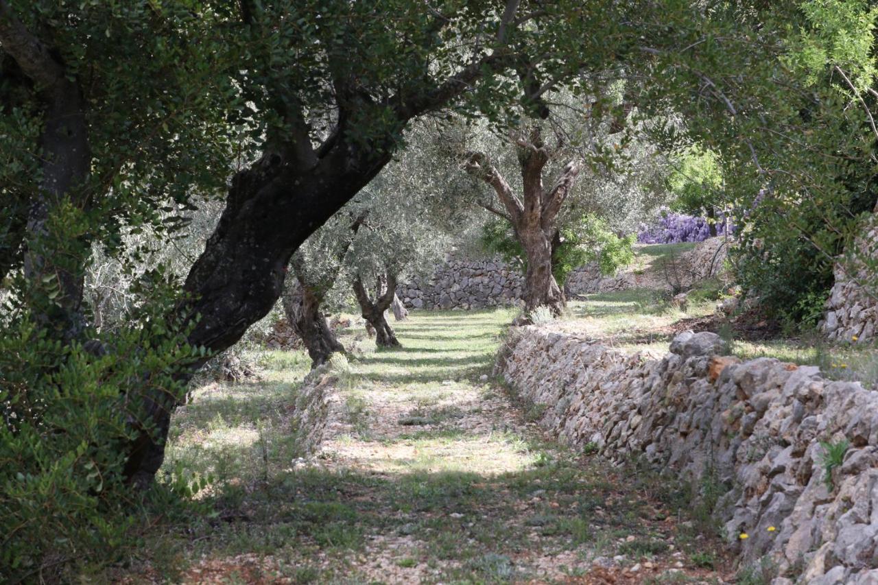 Villa Foia Vella - Adults Only Benigembla Eksteriør bilde